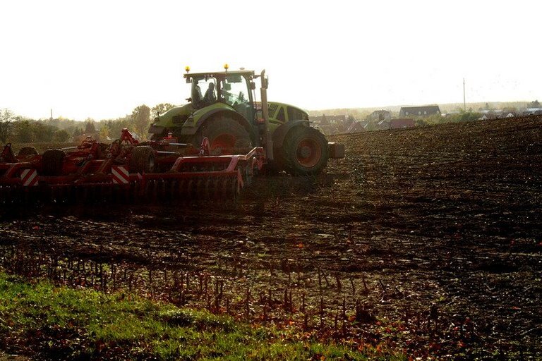Traktor, der ein Feld düngt.