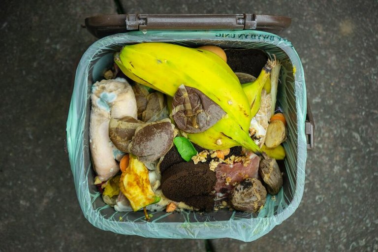 Sammelcontainer mit biogenem Abfall wie Bananenschalen. 